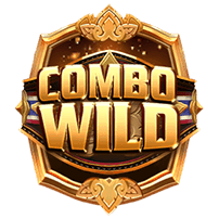 Wild Combo Muay thai